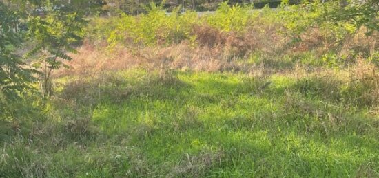 Terrain à bâtir à Vertheuil, Nouvelle-Aquitaine