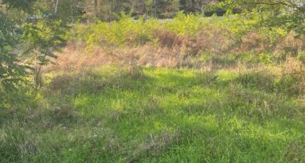 Le Temple Maison neuve - 2404716-11016annonce12026012374khx.jpeg Maisons France Confort