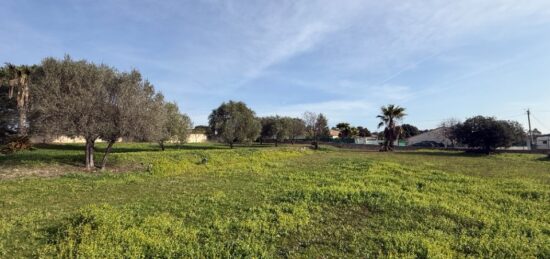 Terrain à bâtir à Roquebrune-sur-Argens, Provence-Alpes-Côte d'Azur
