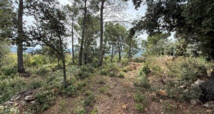 Flassans-sur-Issole Maison neuve - 2406074-11136annonce1202510207KKsy.jpeg Maisons France Confort