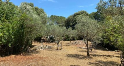 Camps-la-Source Maison neuve - 2406542-10122annonce120260126530AC.jpeg Maisons France Confort