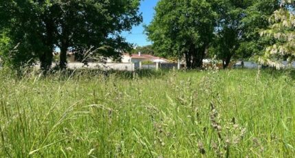 Gujan-Mestras Terrain à bâtir - 2407142-11262annonce120260126OMzto.jpeg Maisons France Confort