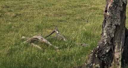 Haravilliers Terrain à bâtir - 2318010-7223annonce220251025nn1tz.jpeg Maisons France Confort