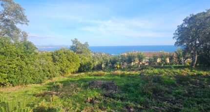 Array Terrain à bâtir - 2406485-11719annonce120260126n5MG9.jpeg Maisons France Confort