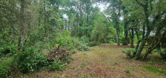 Terrain à bâtir à Saint-Aubin-de-Médoc, Nouvelle-Aquitaine