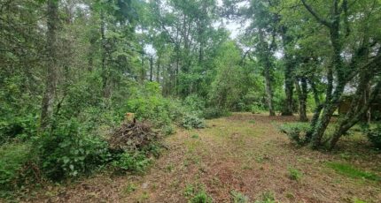 Saint-Aubin-de-Médoc Maison neuve - 2402906-11726annonce620260126M16IN.jpeg Maisons France Confort