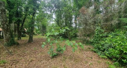 Saint-Aubin-de-Médoc Maison neuve - 2402903-11726annonce220260126eaKR9.jpeg Maisons France Confort