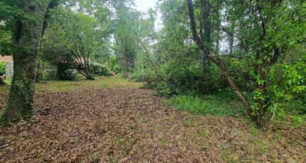 Saint-Aubin-de-Médoc Maison neuve - 2402903-11726annonce320260126HE3tB.jpeg Maisons France Confort