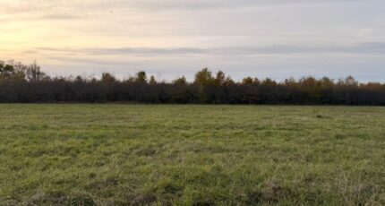 Saint-Laurent-des-Vignes Maison neuve - 2407444-11709annonce220260119ME8Wk.jpeg Maisons France Confort