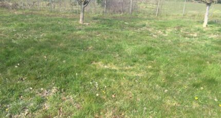 Treffort-Cuisiat Maison neuve - 2344116-754annonce220251120K6FR7.jpeg Maisons France Confort