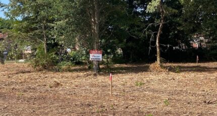 Mimizan Terrain à bâtir - 2407608-10331annonce120241021l6hJe.jpeg Maisons France Confort