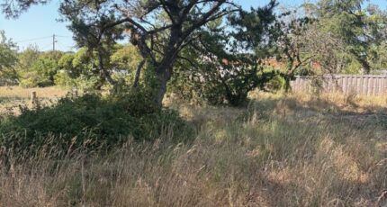 Villeneuve-en-Retz Maison neuve - 2406300-11110annonce320260126O6D41.jpeg Maisons France Confort