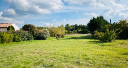 Garéoult Maison neuve - 2306387-10025annonce5202510159q6oC.jpeg Maisons France Confort