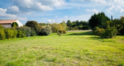 Garéoult Terrain à bâtir - 2306377-10025annonce220251015l13vD.jpeg Maisons France Confort