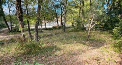 Garéoult Terrain à bâtir - 2307522-10025annonce320251016q8CCN.jpeg Maisons France Confort