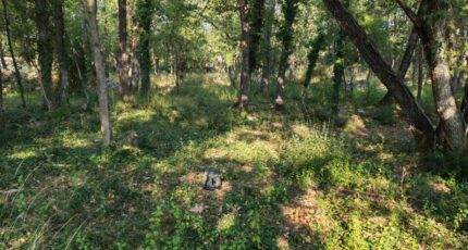 Trans-en-Provence Terrain à bâtir - 2308359-10025annonce120251016aA0J7.jpeg Maisons France Confort