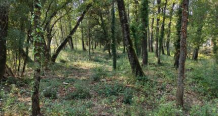 Trans-en-Provence Terrain à bâtir - 2308359-10025annonce520251016XkNQI.jpeg Maisons France Confort