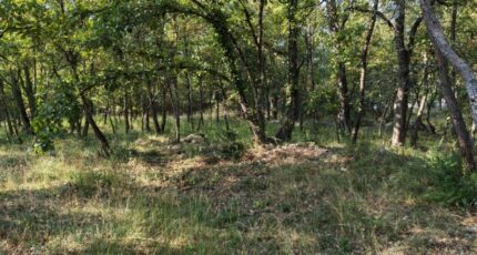 Trans-en-Provence Terrain à bâtir - 2308359-10025annonce2202510160CkMw.jpeg Maisons France Confort