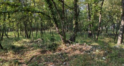 Trans-en-Provence Terrain à bâtir - 2308359-10025annonce320251016z8L1v.jpeg Maisons France Confort