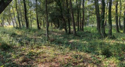 Trans-en-Provence Terrain à bâtir - 2308359-10025annonce420251016QF0yQ.jpeg Maisons France Confort