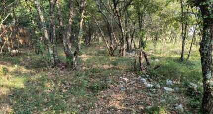 Trans-en-Provence Terrain à bâtir - 2308359-10025annonce220251016QrreC.jpeg Maisons France Confort