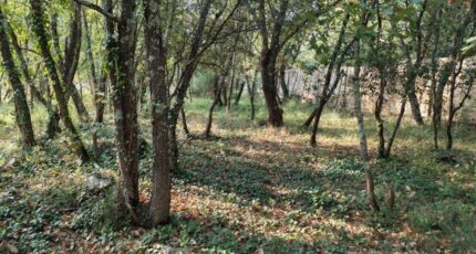 Trans-en-Provence Terrain à bâtir - 2308359-10025annonce320251016HX7Pr.jpeg Maisons France Confort