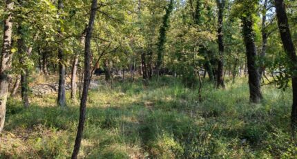 Trans-en-Provence Terrain à bâtir - 2308359-10025annonce420251016RqFIJ.jpeg Maisons France Confort