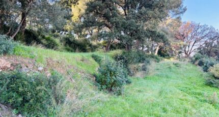 La Seyne-sur-Mer Maison neuve - 2407777-9707annonce320260127Ck5tG.jpeg Maisons France Confort