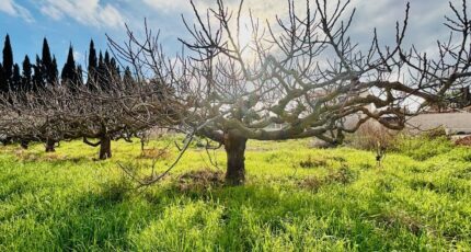 La Farlède Maison neuve - 2407821-9707annonce420260127GJrPA.jpeg Maisons France Confort