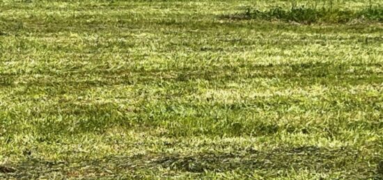 Terrain à bâtir à Pont-l'Abbé-d'Arnoult, Nouvelle-Aquitaine