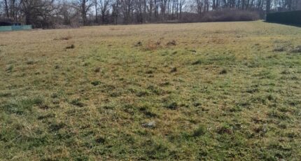 Pessac Maison neuve - 2408111-1686annonce120260127eM8q2.jpeg Maisons France Confort