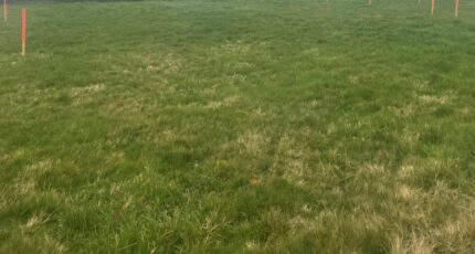 La Ferté-Macé Maison neuve - 2408187-1153annonce1202502075cduf.jpeg Maisons France Confort