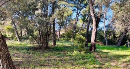 Ollioules Maison neuve - 2408182-9707annonce420260127nysA2.jpeg Maisons France Confort