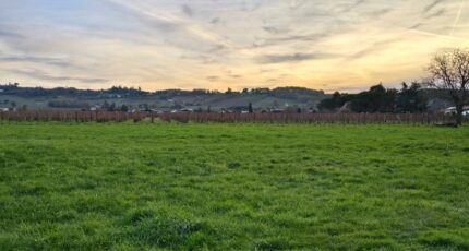 Saint-Laurent-des-Vignes Terrain à bâtir - 2408343-7107annonce4202601279C8cJ.jpeg Maisons France Confort