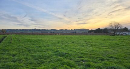 Saint-Laurent-des-Vignes Maison neuve - 2408405-7107annonce120260127TrTzc.jpeg Maisons France Confort