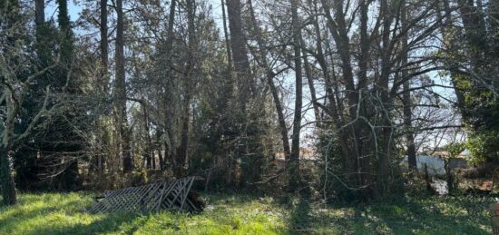 Terrain à bâtir à Lanton, Nouvelle-Aquitaine