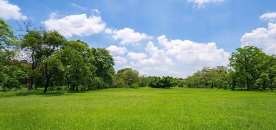 Terrain à bâtir à Beychac-et-Caillau, Nouvelle-Aquitaine