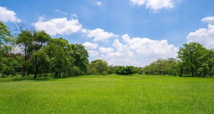 Beychac-et-Caillau Maison neuve - 2408684-10276annonce120260127nHKpy.jpeg Maisons France Confort