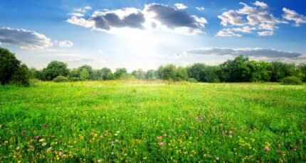 Saint-Laurent-Médoc Maison neuve - 2409065-11274annonce1202511073zwNL.jpeg Maisons France Confort