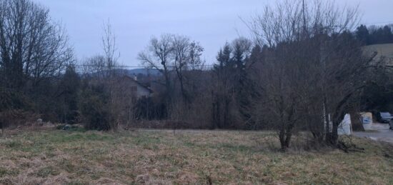 Terrain à bâtir à Mésigny, Auvergne-Rhône-Alpes