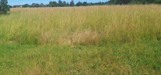 Terrain à bâtir à Faudoas, Occitanie