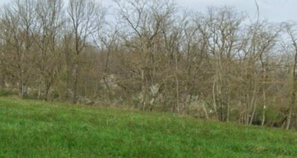 Gratens Terrain à bâtir - 2405428-6043annonce120260124XfZSm.jpeg Maisons France Confort