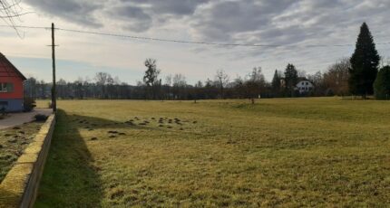 Balschwiller Terrain à bâtir - 2408772-11207annonce120260127e9XS7.jpeg Maisons France Confort