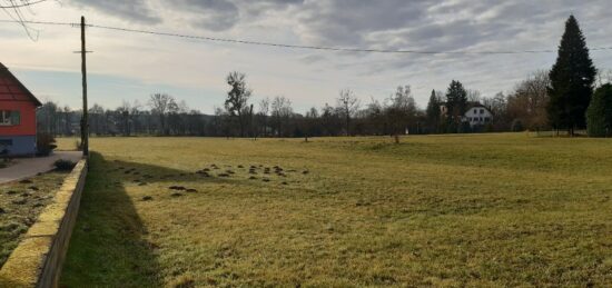 Terrain à bâtir à Balschwiller, Grand Est