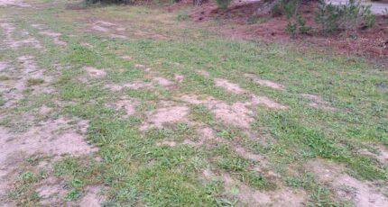 Le Puy-Sainte-Réparade Maison neuve - 2409432-11041annonce220260127TizTm.jpeg Maisons France Confort