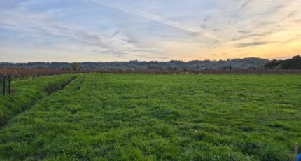 Saint-Laurent-des-Vignes Maison neuve - 2408408-7107annonce220260127HVfx8.jpeg Maisons France Confort