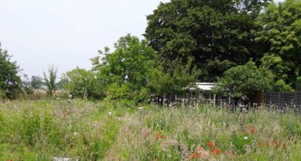 Cuts Maison neuve - 2313926-4496annonce120251022FZIch.jpeg Maisons France Confort