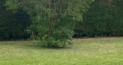 Domont Maison neuve - 2339156-7109annonce120251114dcvSQ.jpeg Maisons France Confort