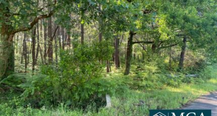 Sanguinet Terrain à bâtir - 2409495-5828annonce120251022T4HTK.jpeg Maisons France Confort