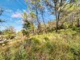 Terrain à bâtir à Rocbaron (83136) 2409550-9707annonce3202601287WPtk.jpeg Maisons France Confort